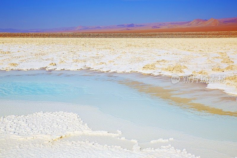 Lagunas escondidas Baltinache - Baltinache和Atacama salar flats - Turquoise salt lakes mirrored reflection and田诗化的阿塔卡马沙漠，火山景观全景- San Pedro de Atacama，智利，Bolívia和阿根廷边境